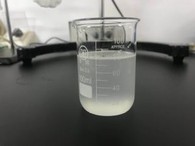 Laurylglucosid 1200UP